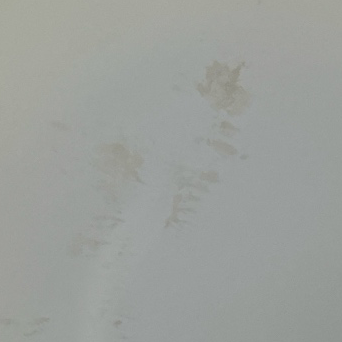 Active water staining on the ceiling in Cuyahoga County
